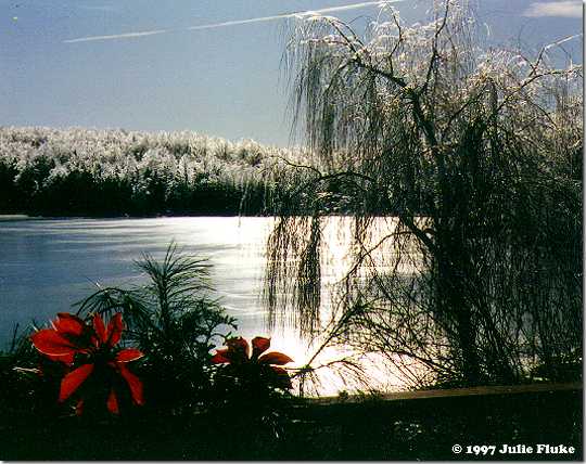 Julie Fluke Color Winner