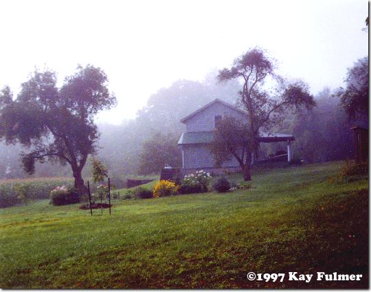 Kay Fulmer Color Winner